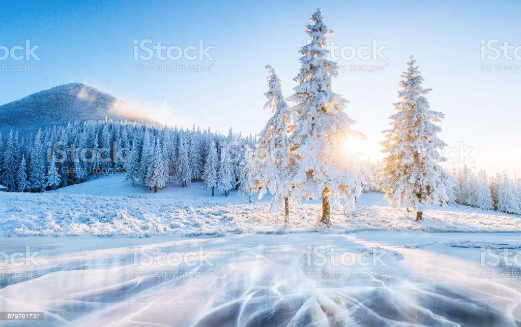 69F4BD6F-1CCE-4382-8D2B-7E60654E7EA1.jpeg