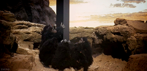 6a00d8341c630a53ef015391422b9f970b-pi.gif