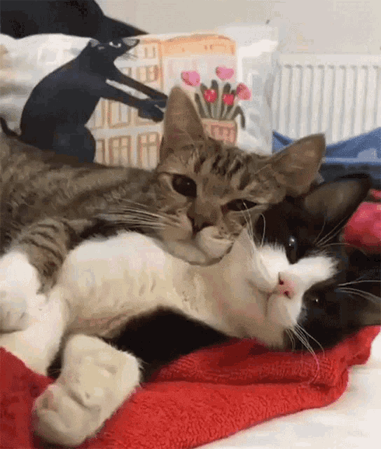 6BB8CBAE-6C7A-4F1D-BC04-FFCF4F331800.gif