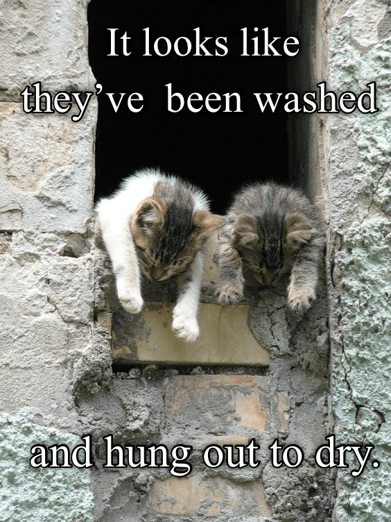 6BE3B0E6-6322-4A4F-AE4D-6095FB0EE97D.png