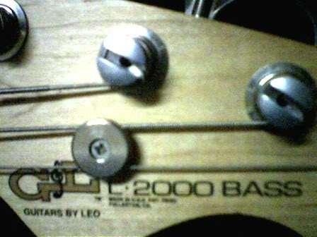 6BII0008.jpg