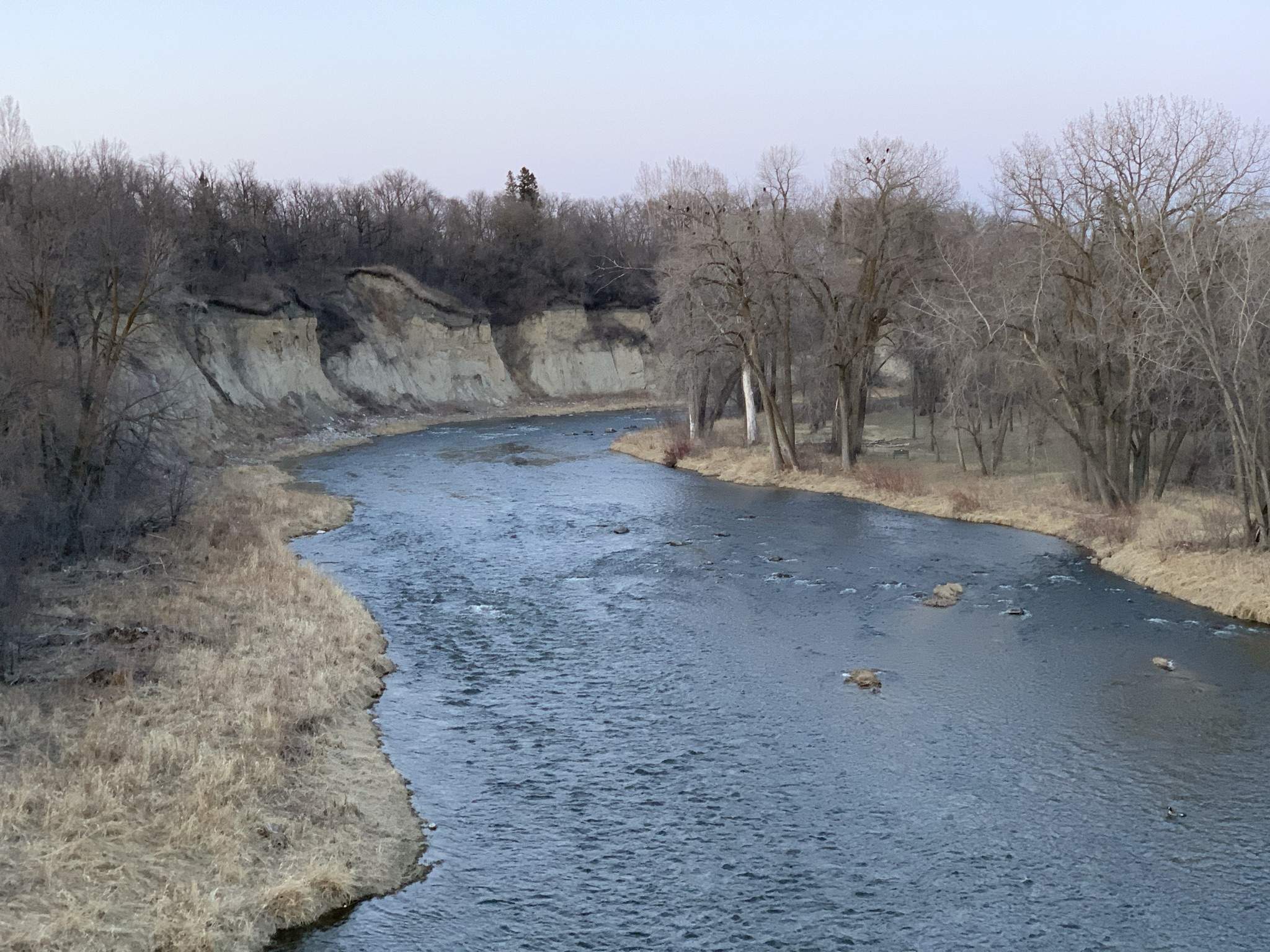 6D5CE27D-7960-438F-A8F6-17CDDDD4C2F7.jpeg