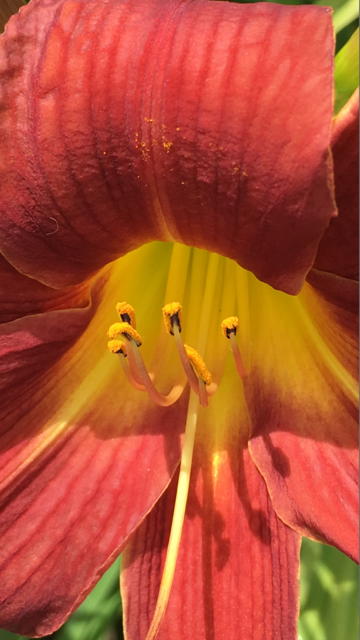 6EB036D9-50DD-41D5-A8EB-ECBFA47B0AA6.png
