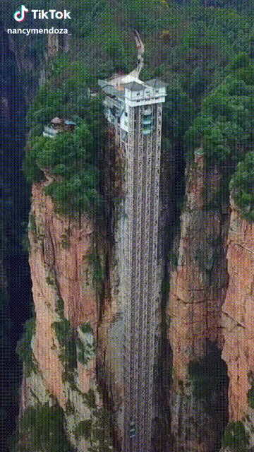 6EBA7534-826C-4DC3-8361-E69AFCCA5EB8.gif