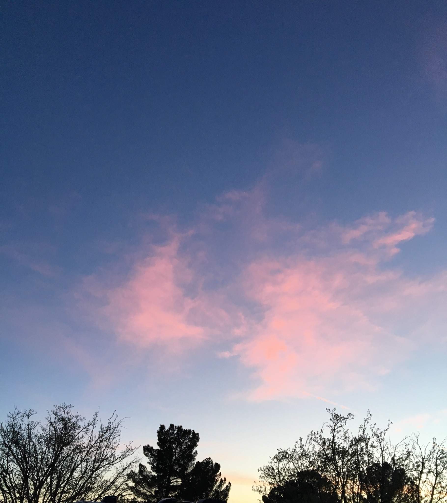 6F17045E-2EAC-445D-B765-7848A1A54056.jpeg