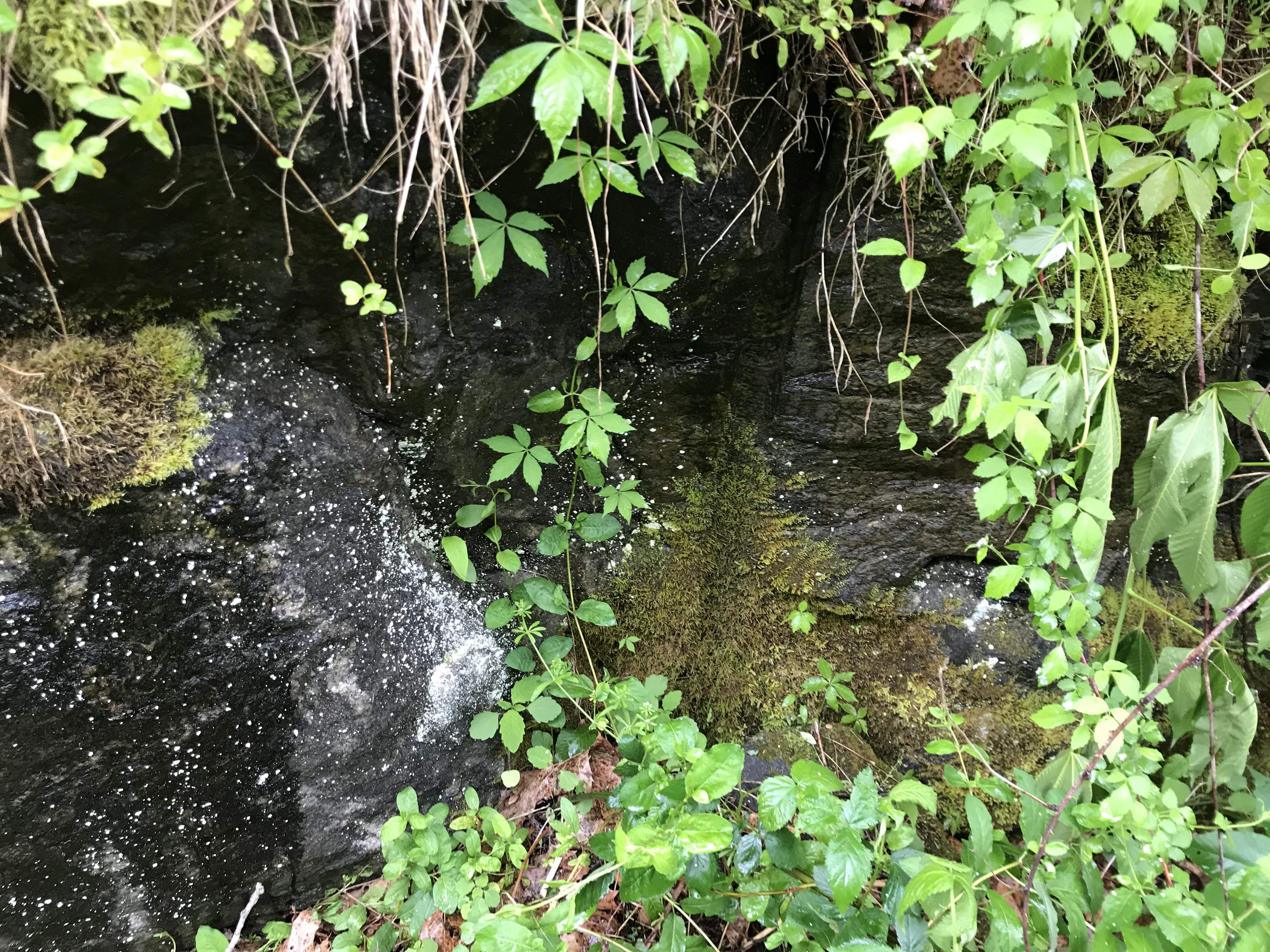 6F77877E-409D-4D5D-BC11-5D741A960265.jpeg