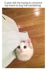 6F849843-0A36-421C-B9F2-D08F0EE9B47A.jpeg