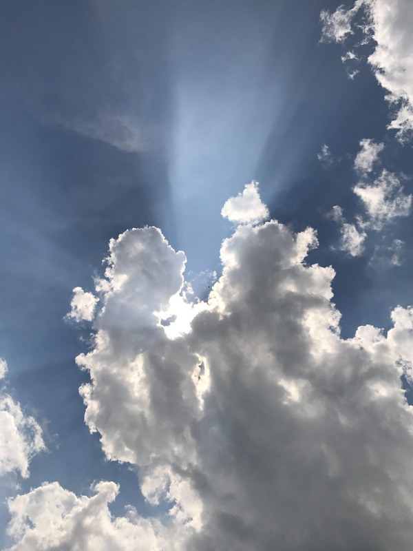 6FD1A5FC-78E4-4DF9-8EA0-9F5BD1BC3A51.jpg