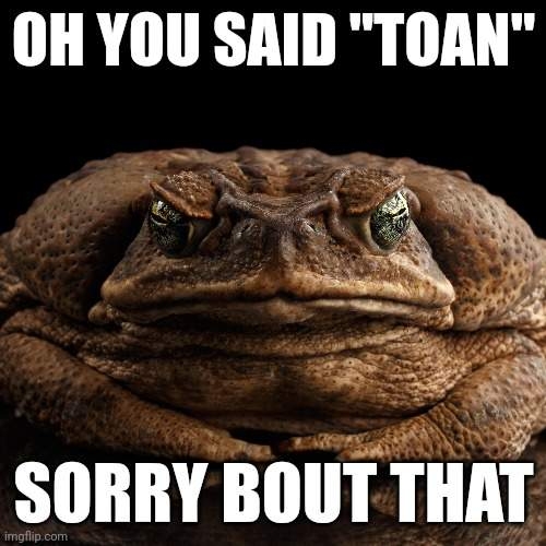 6t2t7k.jpg