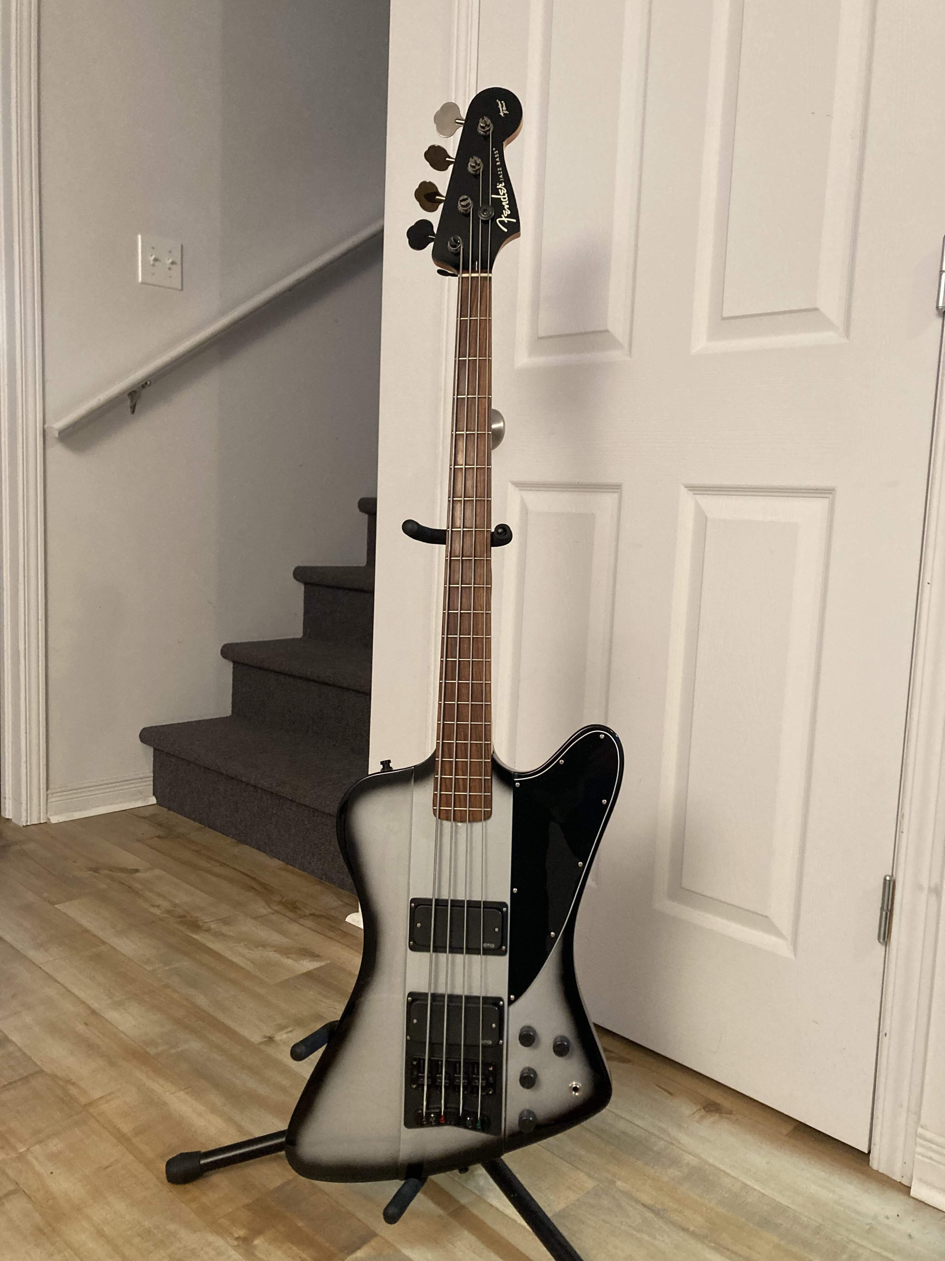 7. Fenderbird.JPG