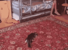 7033A7E7-5FC4-4EC9-BEBC-5BC8337B7995.gif