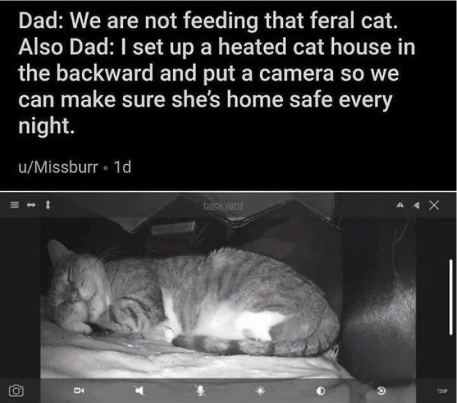 7040E5E9-EEEA-48FB-A93D-5B9C3F6FF859.png