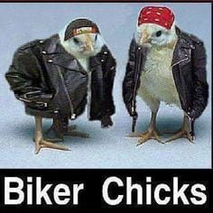 706cfca14d219691cd8617d699752ef3.jpg