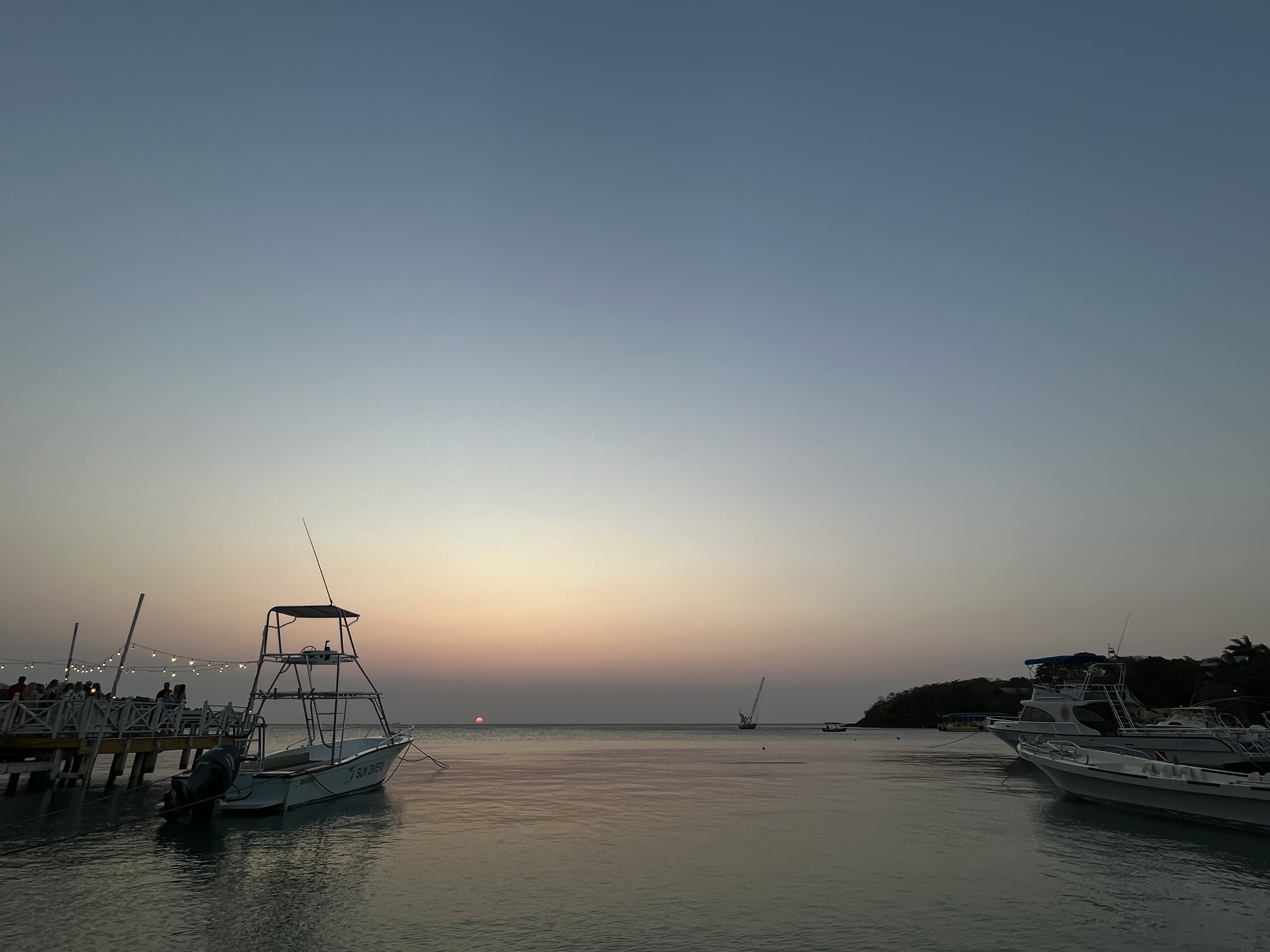 723DC204-6C2B-4AF2-B871-12EC66472484.jpeg