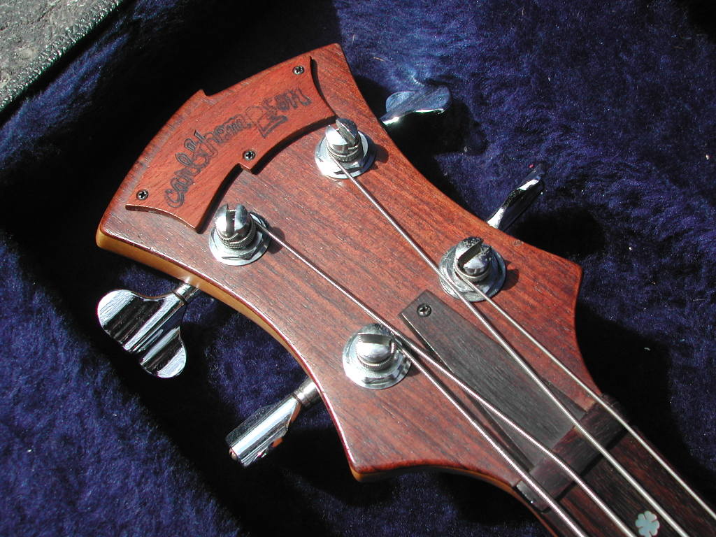 7277head.jpg