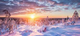 736F68BB-5409-4822-B198-8969EE079E11.jpeg