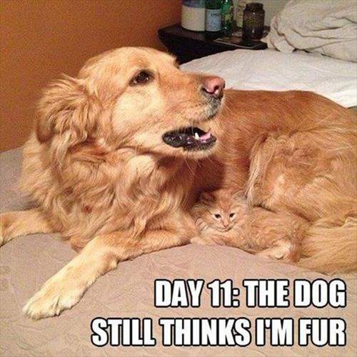 73EC7F7C-6418-4E3B-8E39-73D6B814482E.jpeg