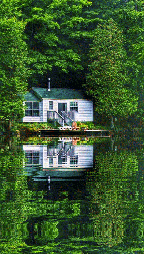 7446F054-44DE-4907-A3C8-9DAC5FE2156C.gif