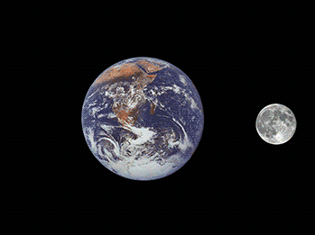 753fb66f8a10760fb1d229e34ac71958.gif