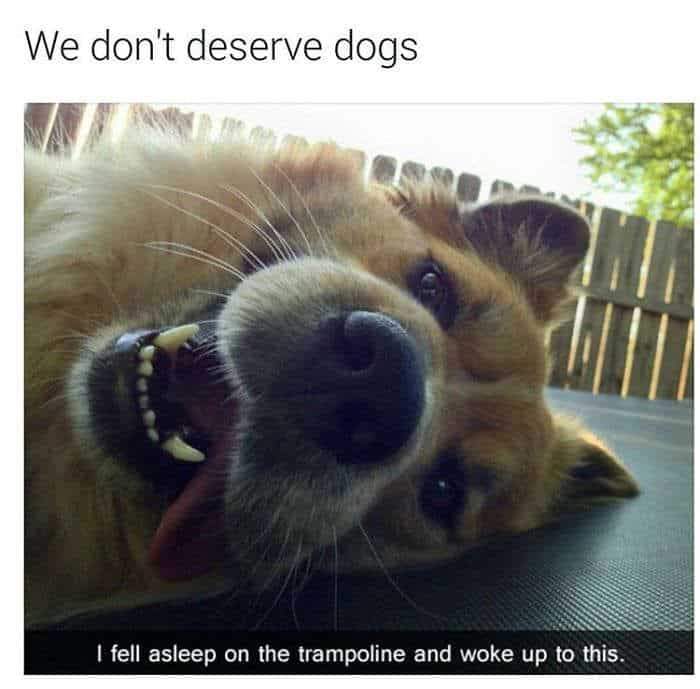75EFDBDA-27BB-41B6-A04B-9E6BA2762802.jpeg