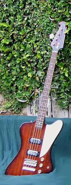 75IbanezBird.jpg