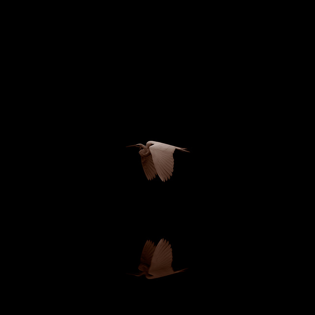 7799762150_aa2c52ae37_z.jpg