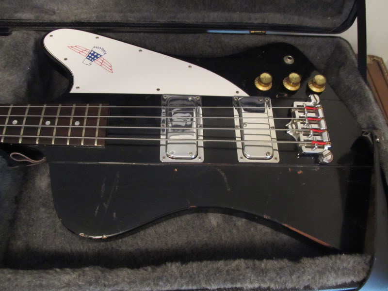 77thunderbirdguard003.jpg
