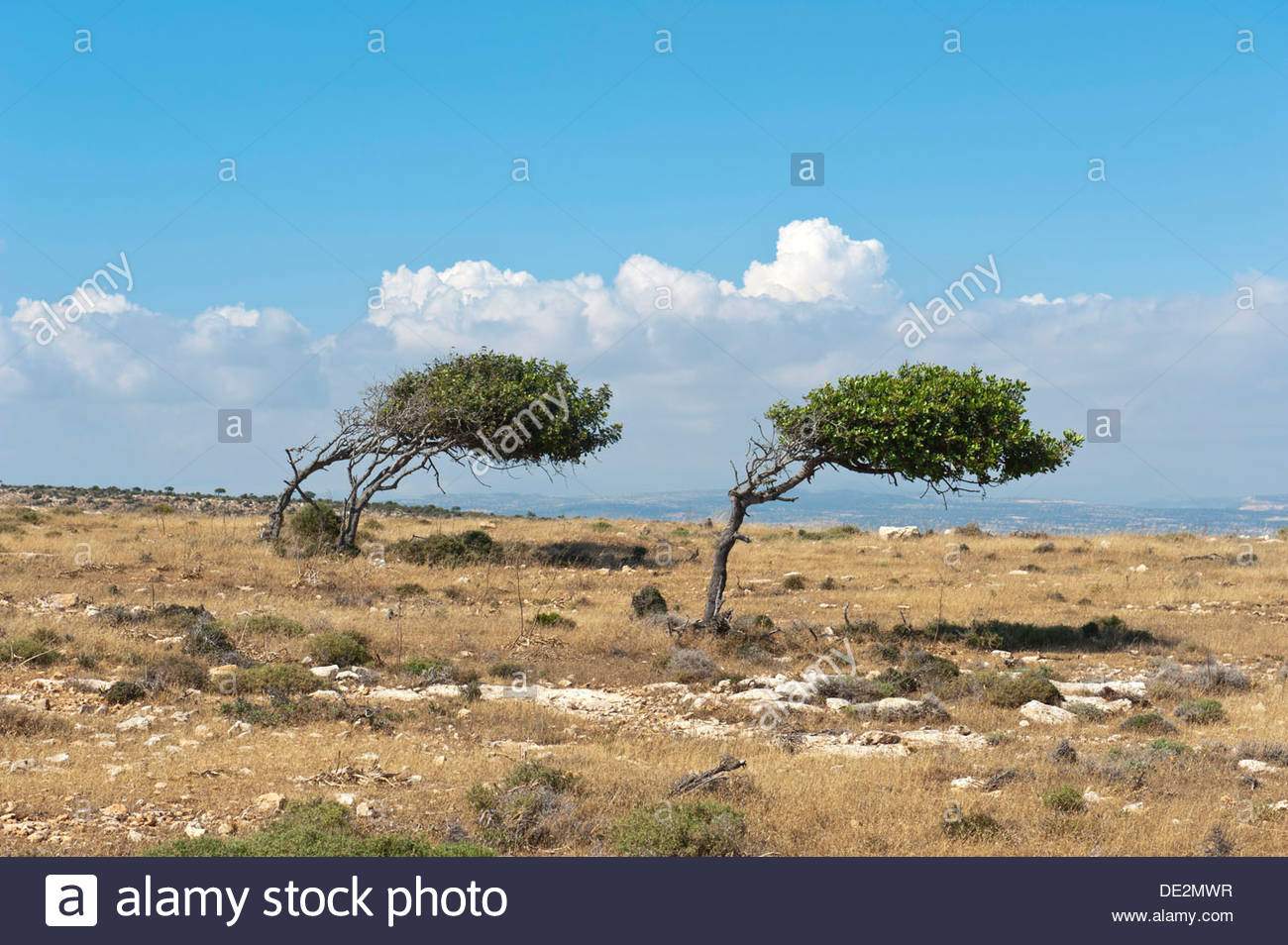782DED36-16DA-4CBD-84C1-C8E33C0456D2.jpeg
