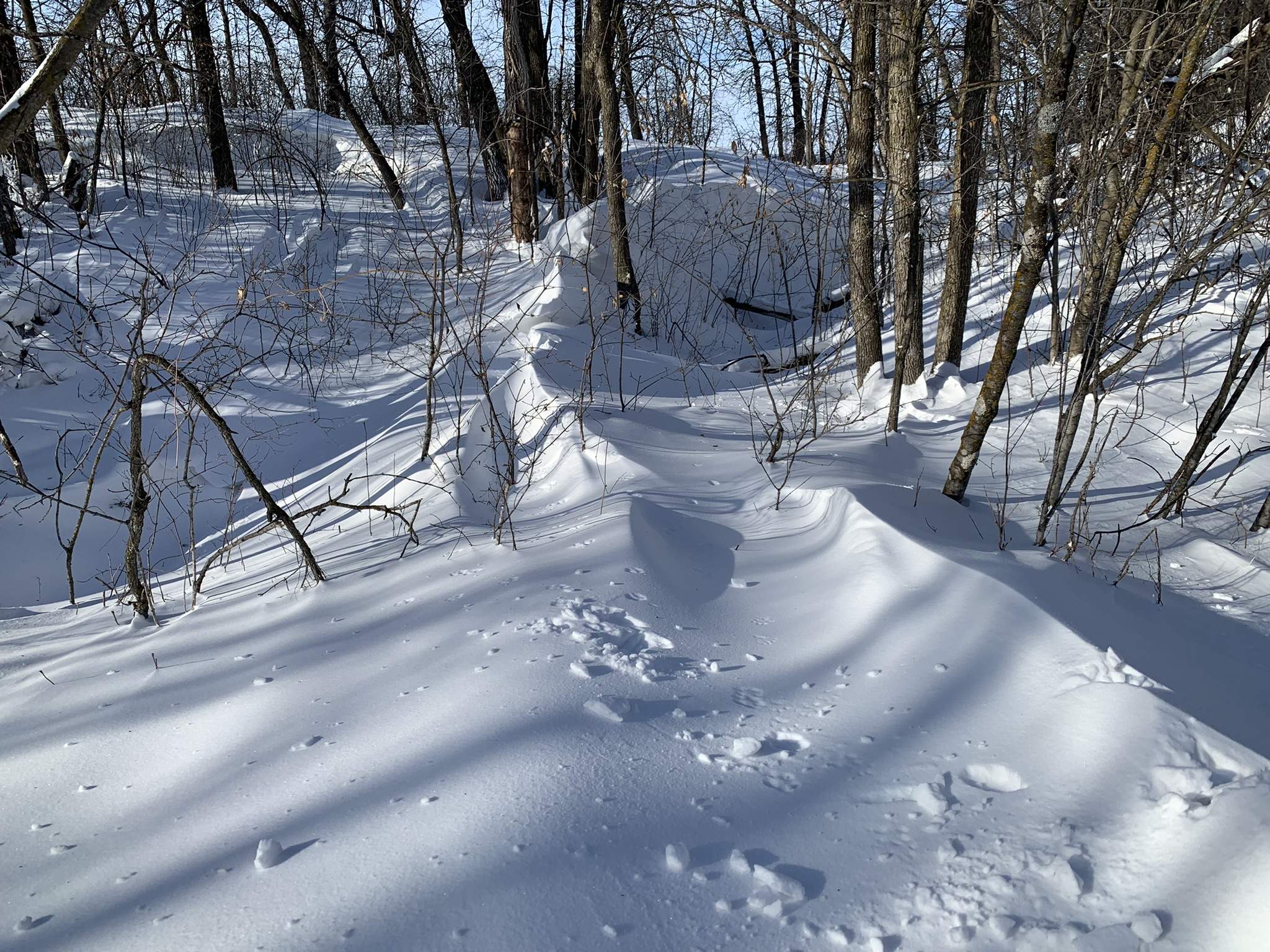 7860C0D5-6663-4668-9E53-38070122B66B.jpeg