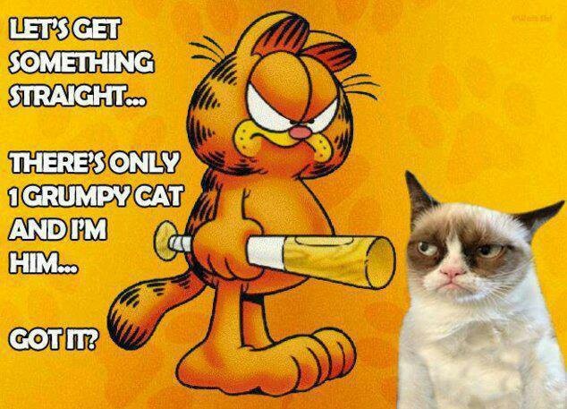 78c536d4e9e16579417f8c9e556342d4--grumpy-cat-meme-grumpy-kitty.jpg