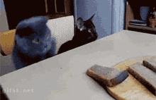 78DBDC50-A847-4B2D-99CF-5635FDB270F3.gif