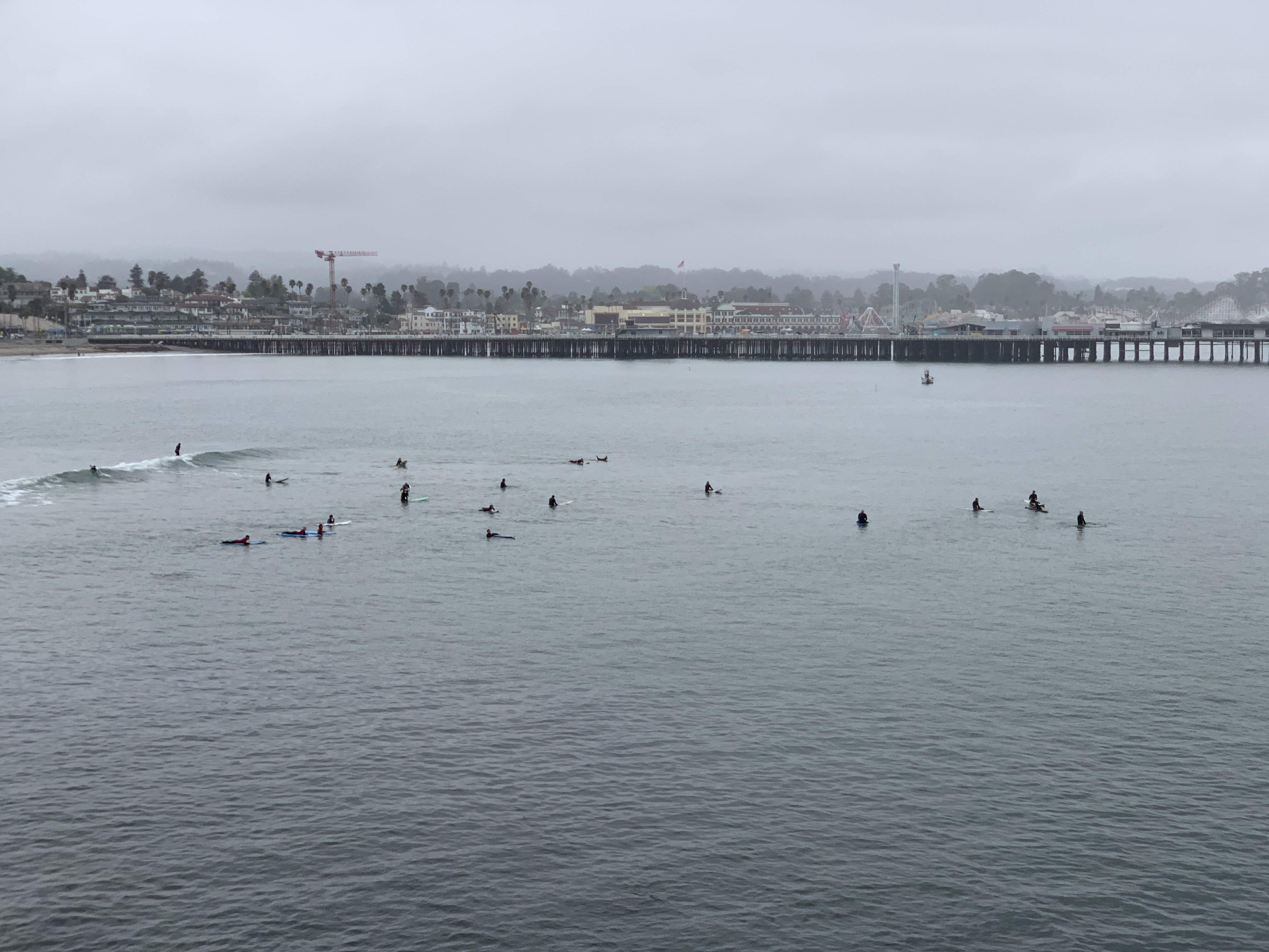78F36E24-CA44-4D75-8BF5-0197D2BA79BC.jpeg