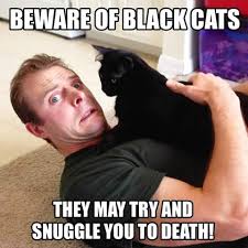 79C74E0C-BF64-4A43-B69B-A9A857C93630.jpeg