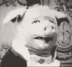 79f53bb77a8a.gif