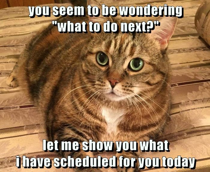 7A789052-7643-4946-9205-51CEB96373CB.jpeg