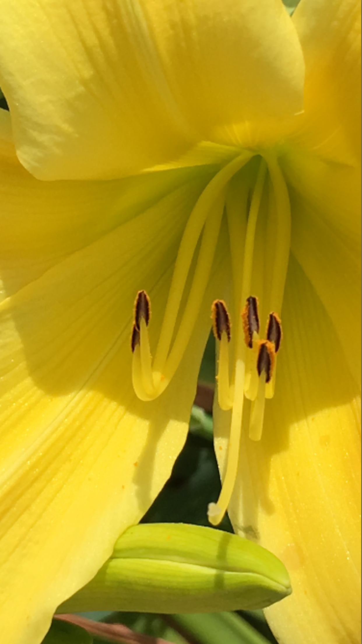 7AF8415F-DE63-4D39-BE98-B5F4A373FE9B.png