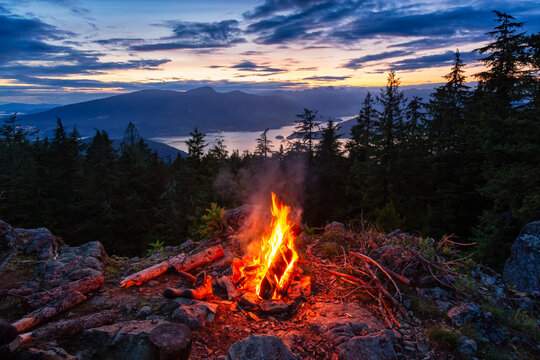 7C1F4419-463E-4F35-A3EA-4539C6E3D6C5.jpeg