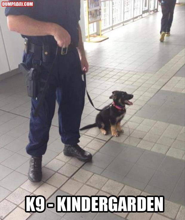 7E1ABDB1-67A0-499E-A254-7EF2B0E7B51D.jpeg