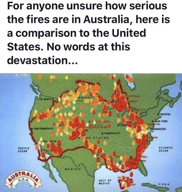 7E66EA0F-8B19-4669-8C8E-2193136682F0.jpeg
