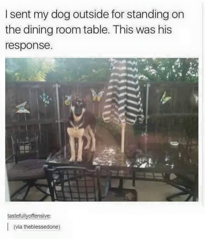 7F45F7EB-73EA-4F95-9DB8-D896981E7906.jpeg