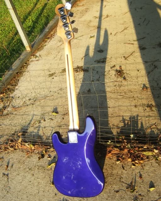 8-16-10.jpg