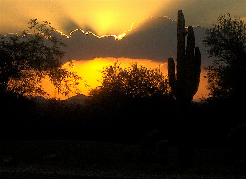 800px-Sunset_and_cactus.jpg