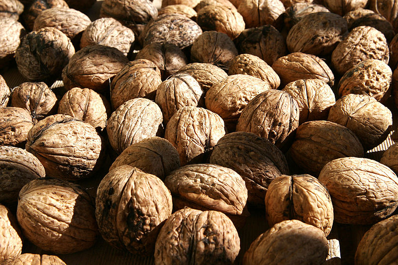 800px-Walnuts02.jpg