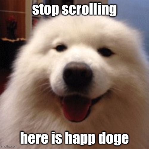 807B7AC5-C7DA-4604-A1E7-DC56076BFEF1.jpeg