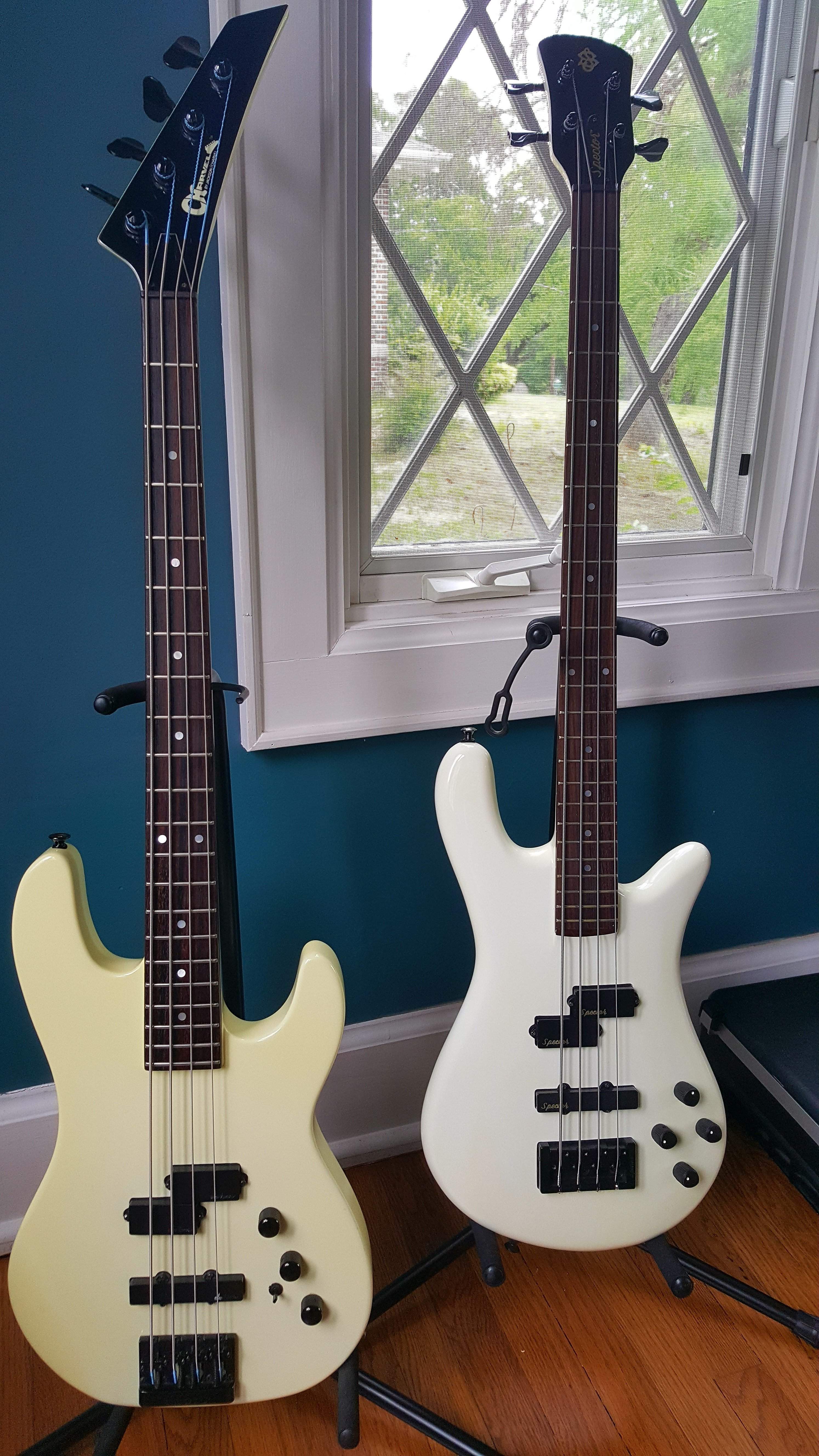 80s Rock Basses.jpg