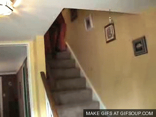 81711_o.gif