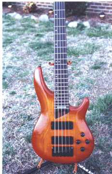 8222505.jpg