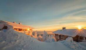 827A7EC2-AE09-4DDB-94F5-F48B989D8788.jpeg