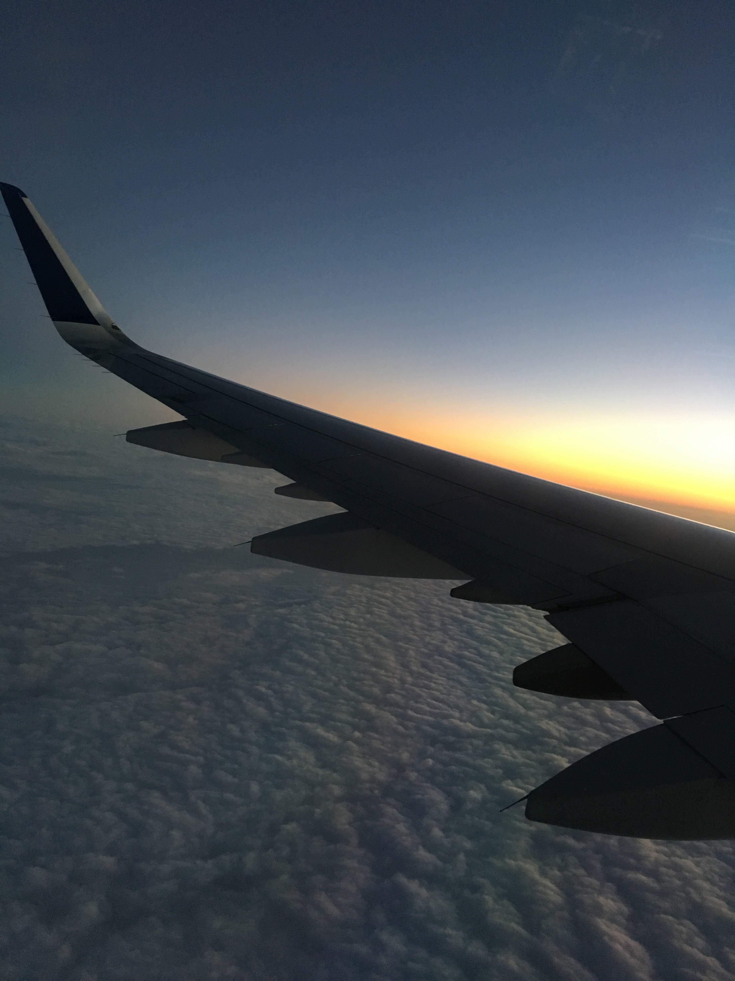84D67E2B-808B-4952-9F80-35774CDFAB05.jpeg