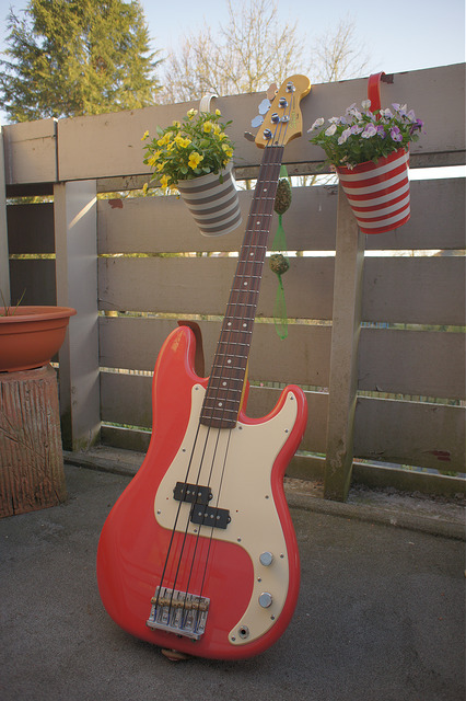 8666314364_c9655726ee_z.jpg